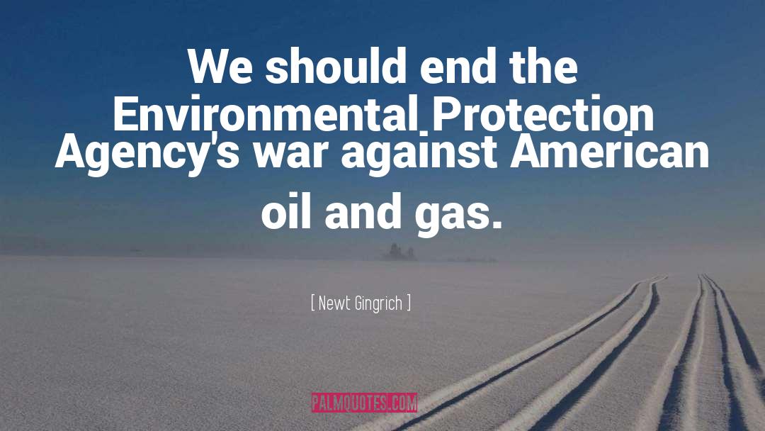 Environmental Protection quotes by Newt Gingrich