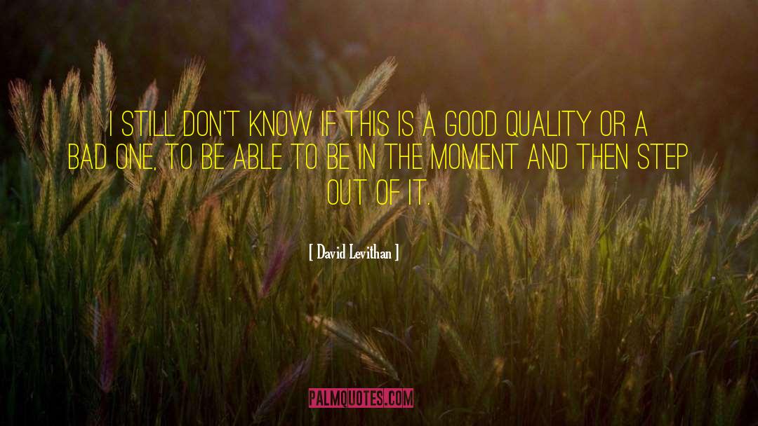 Environmental Quality quotes by David Levithan