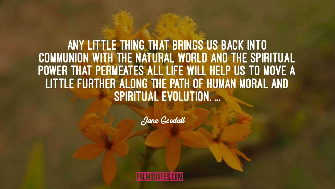 Environmentalism quotes by Jane Goodall