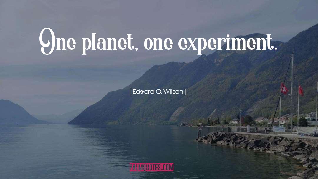 Environmentalism quotes by Edward O. Wilson