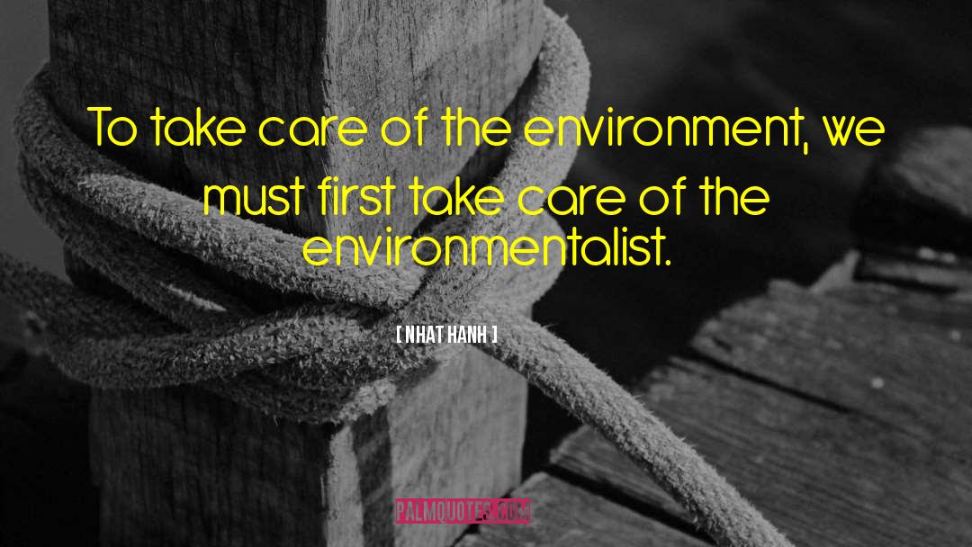 Environmentalist quotes by Nhat Hanh