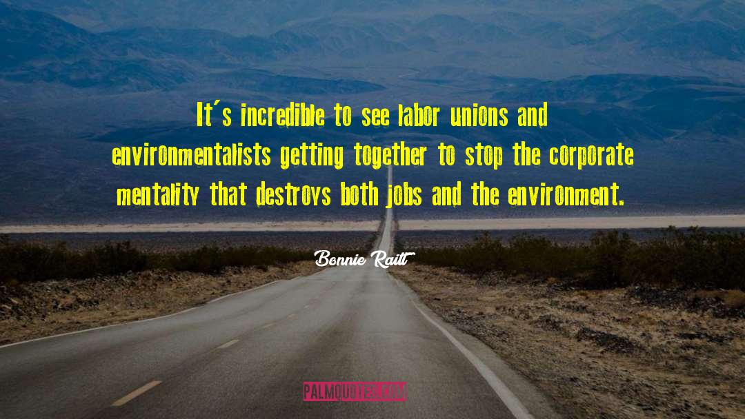 Environmentalists quotes by Bonnie Raitt