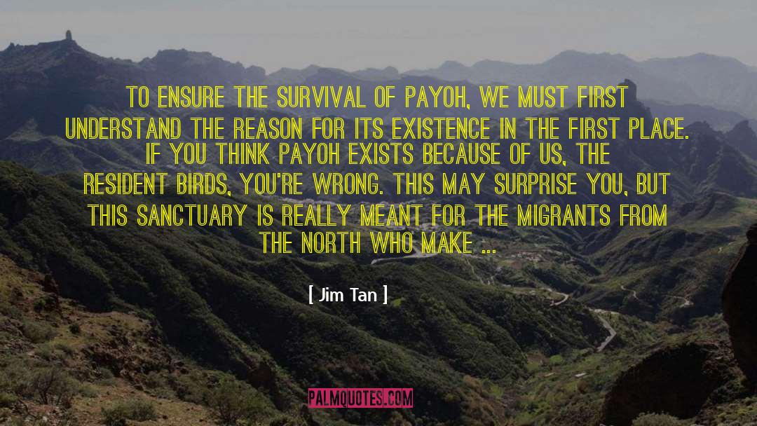 Environmentalists quotes by Jim Tan