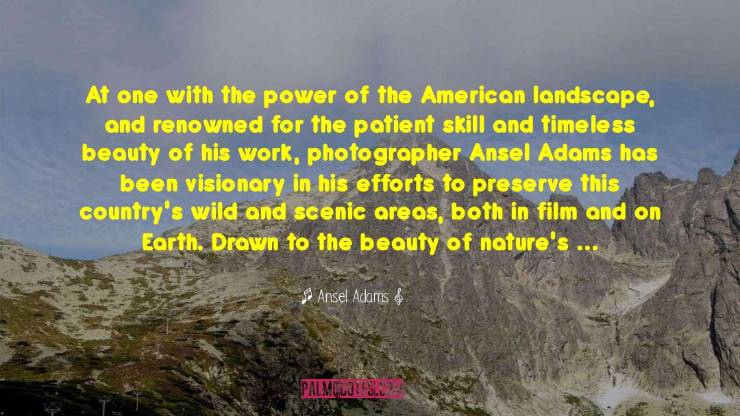 Environmentalists quotes by Ansel Adams