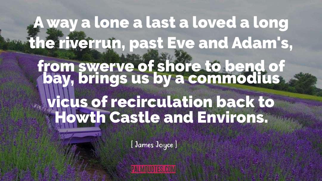 Environs quotes by James Joyce