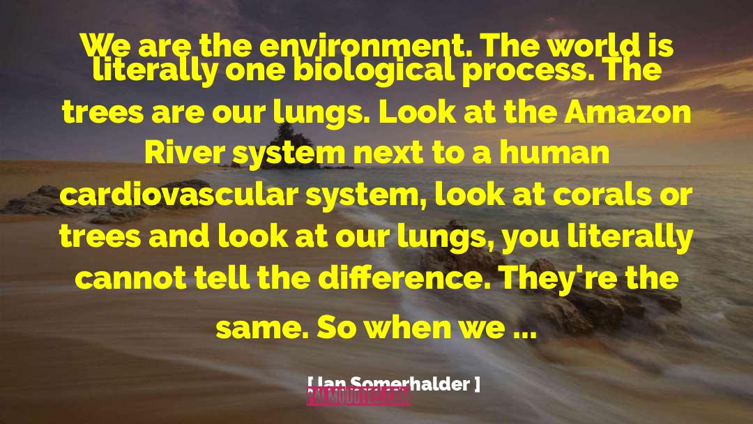 Envoirnmental quotes by Ian Somerhalder