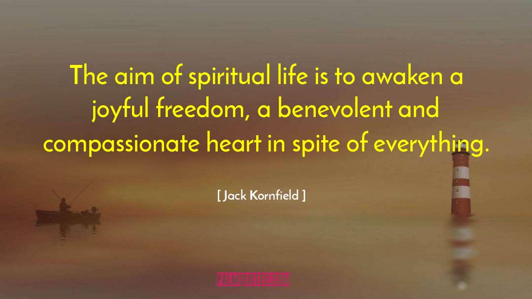 Envy And Spite quotes by Jack Kornfield