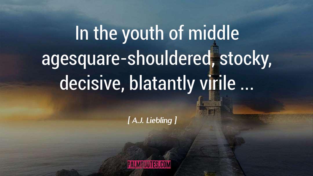Envy Of Youth quotes by A.J. Liebling