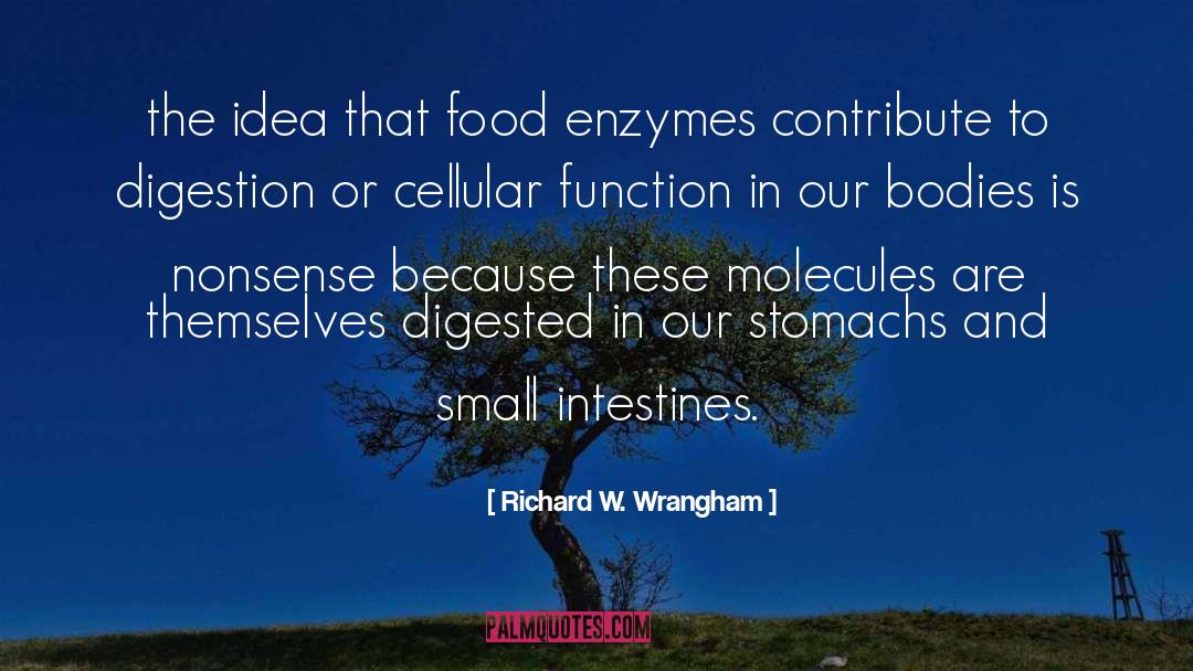 Enzymes quotes by Richard W. Wrangham