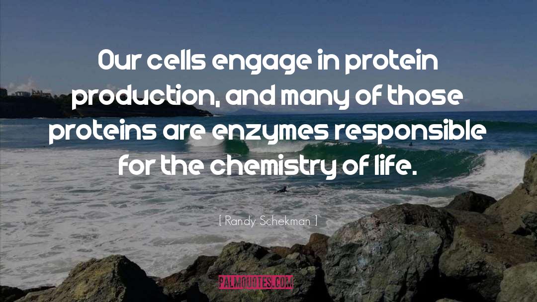 Enzymes quotes by Randy Schekman