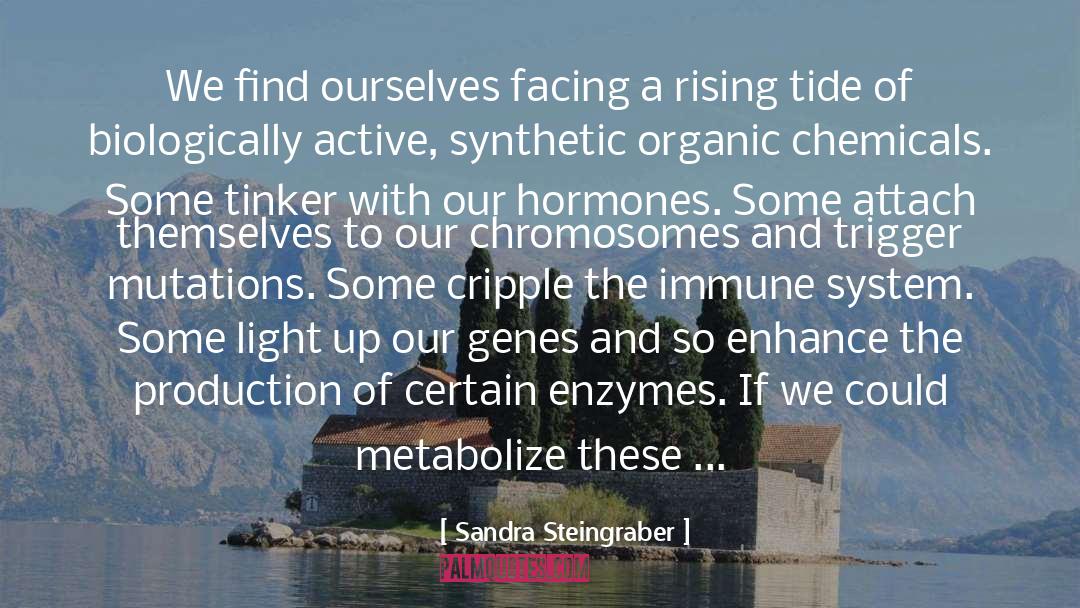 Enzymes quotes by Sandra Steingraber