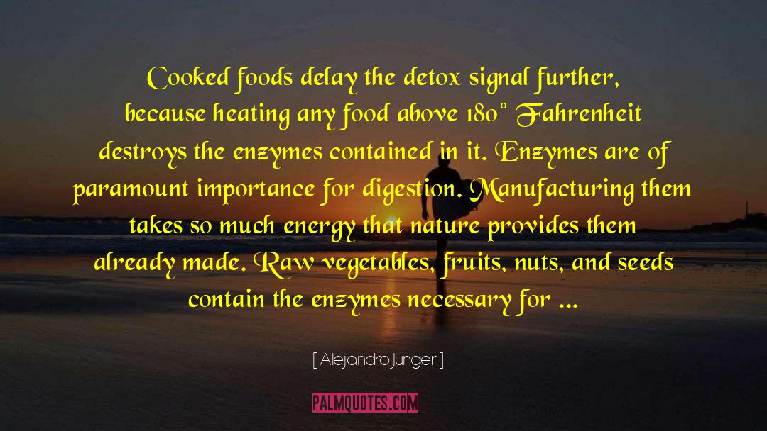 Enzymes quotes by Alejandro Junger