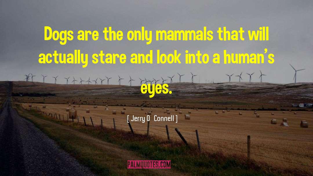 Eocene Mammals quotes by Jerry O'Connell
