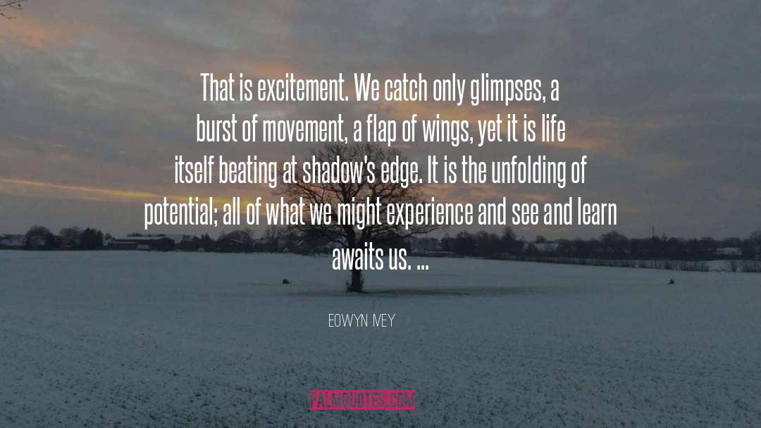 Eowyn quotes by Eowyn Ivey