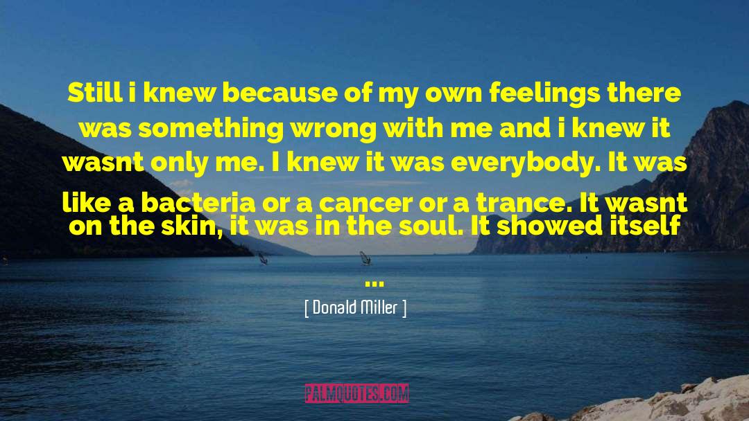 Epidemic Of Cracked quotes by Donald Miller