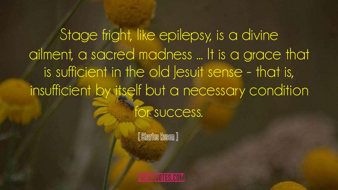 Epilepsy quotes by Charles Rosen