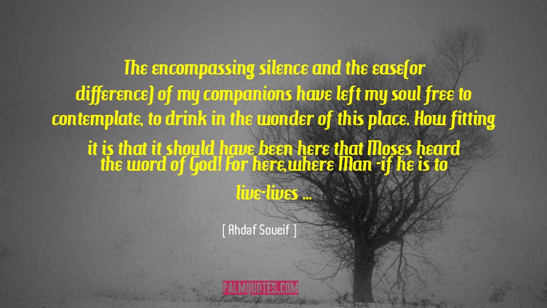 Epiphany quotes by Ahdaf Soueif