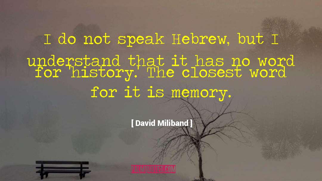 Episodic Memory quotes by David Miliband