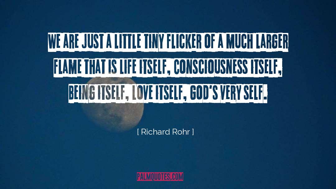 Epistemologically Self Conscious quotes by Richard Rohr