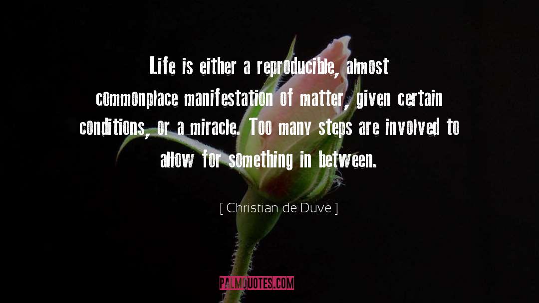 Epitome Of Life quotes by Christian De Duve