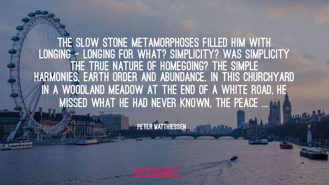 Epitome Of Simplicity quotes by Peter Matthiessen