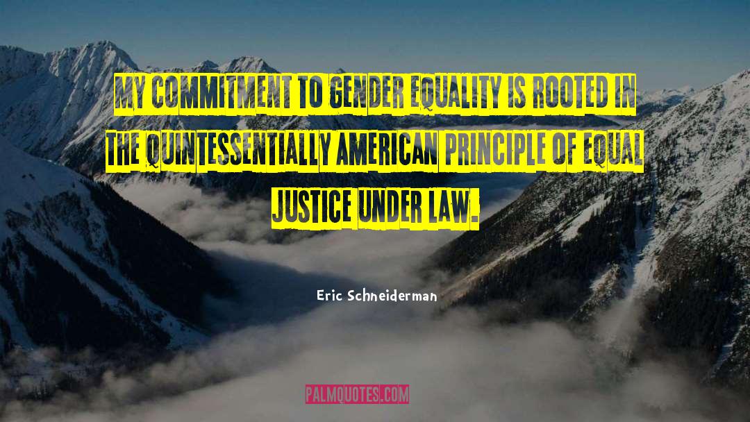 Equal Justice quotes by Eric Schneiderman