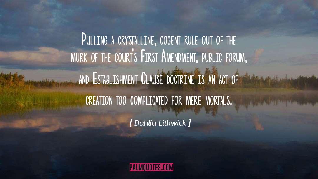 Equal Protection Clause 14th Amendment Quote quotes by Dahlia Lithwick