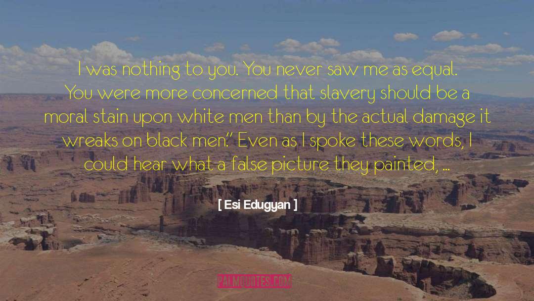 Equal Treatment quotes by Esi Edugyan