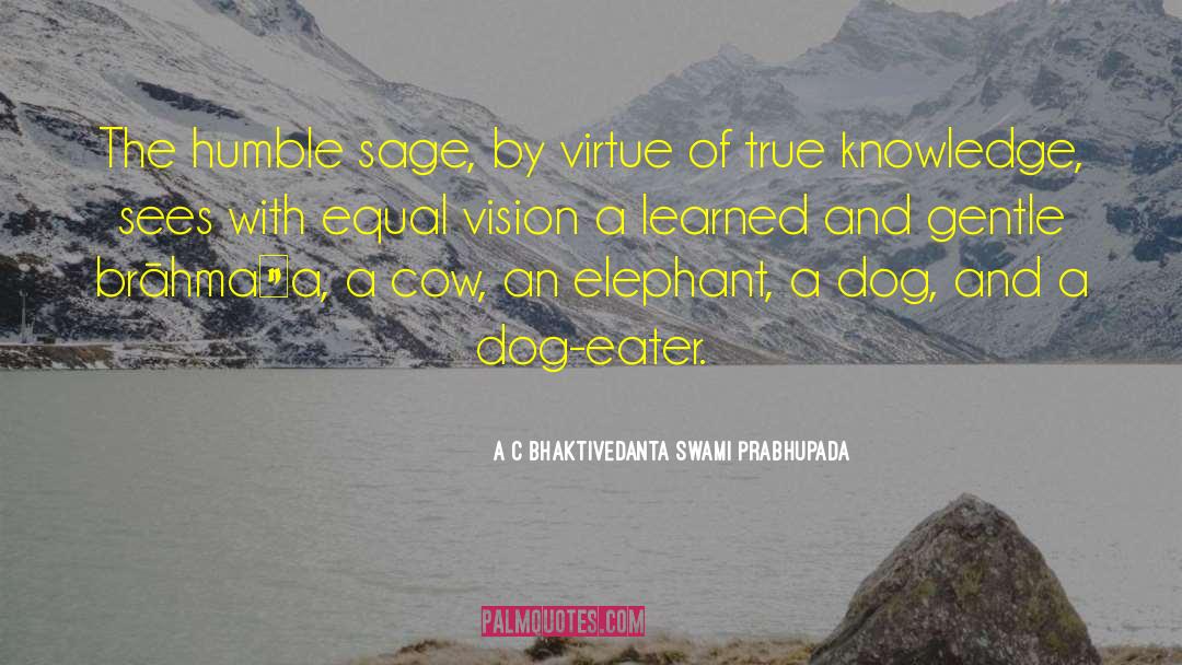 Equal Vision quotes by A C Bhaktivedanta Swami Prabhupada