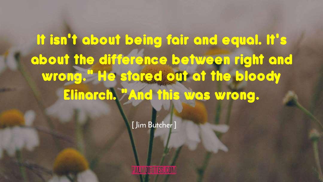 Equal Vision quotes by Jim Butcher
