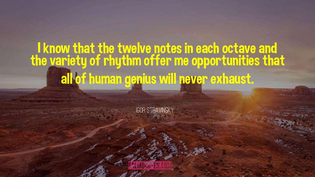 Equality Of Opportunity quotes by Igor Stravinsky