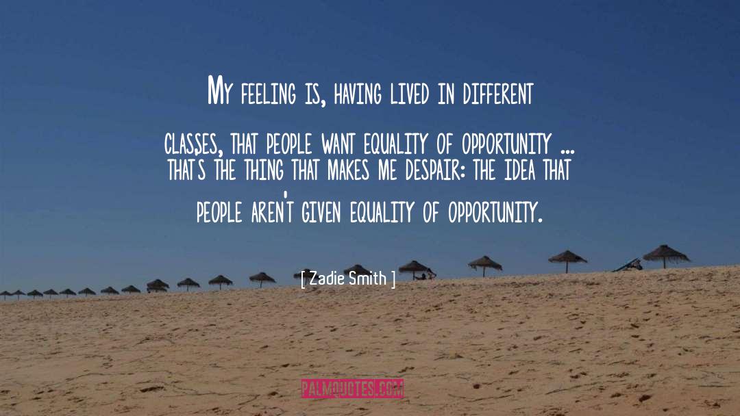 Equality Of Opportunity quotes by Zadie Smith