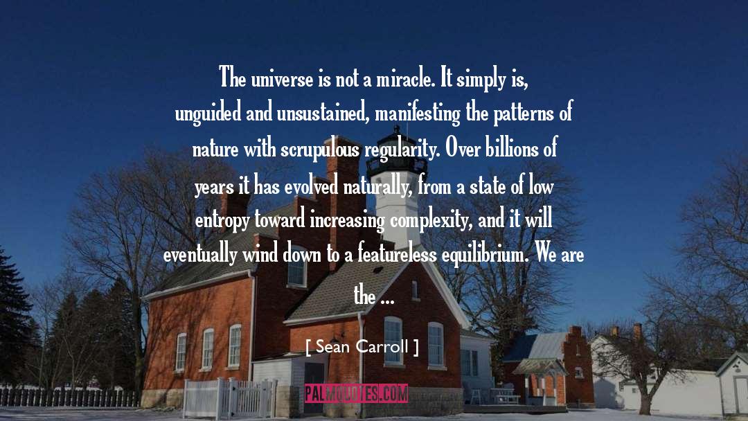Equilibrium quotes by Sean Carroll