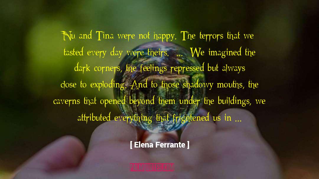 Eradicating Darkness quotes by Elena Ferrante