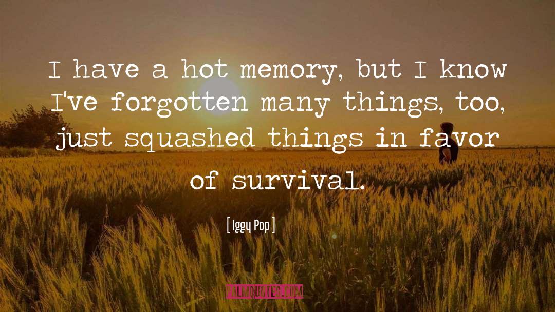 Erase A Memory quotes by Iggy Pop
