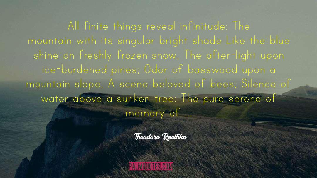 Erased From Memory quotes by Theodore Roethke