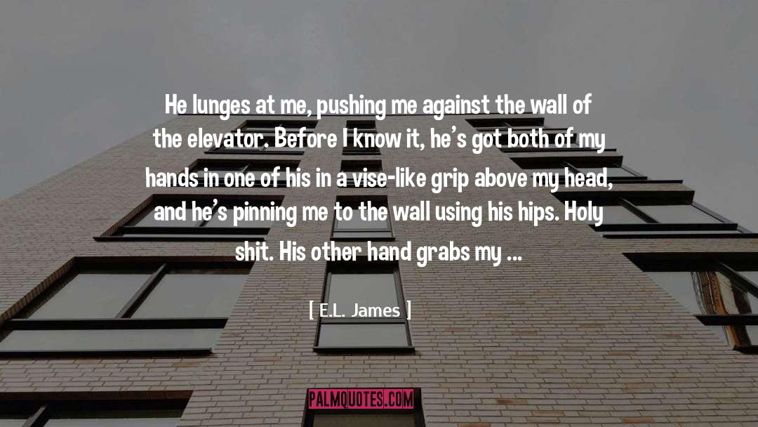 Erection quotes by E.L. James