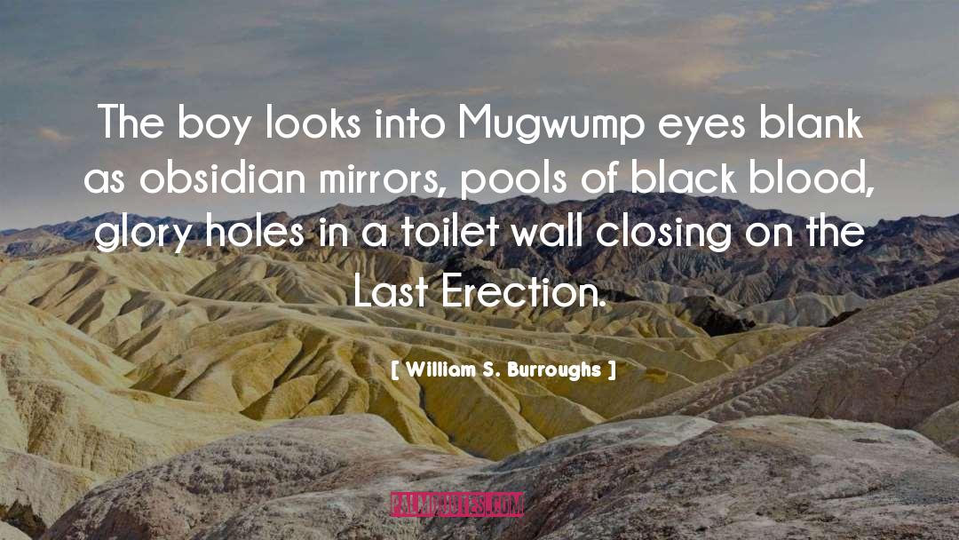 Erection quotes by William S. Burroughs