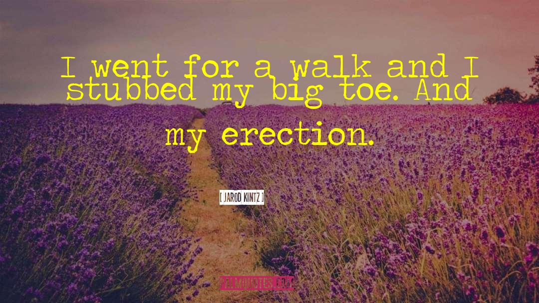 Erection quotes by Jarod Kintz