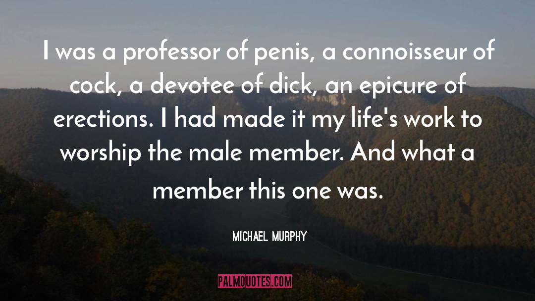 Erections quotes by Michael Murphy
