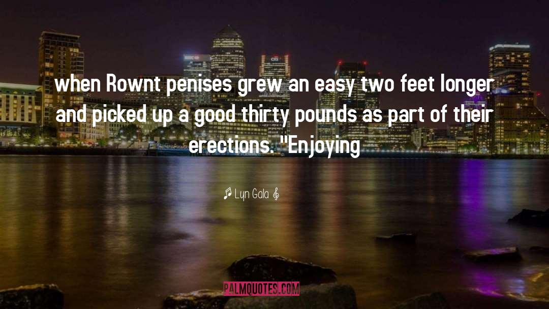 Erections quotes by Lyn Gala