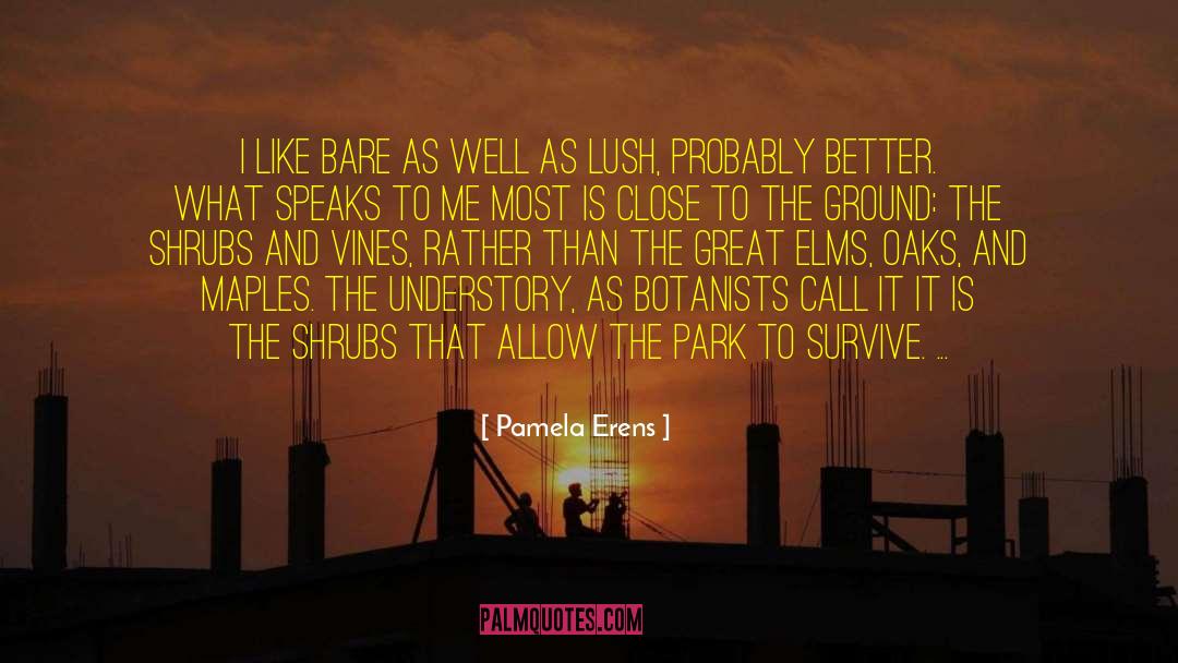 Erens quotes by Pamela Erens