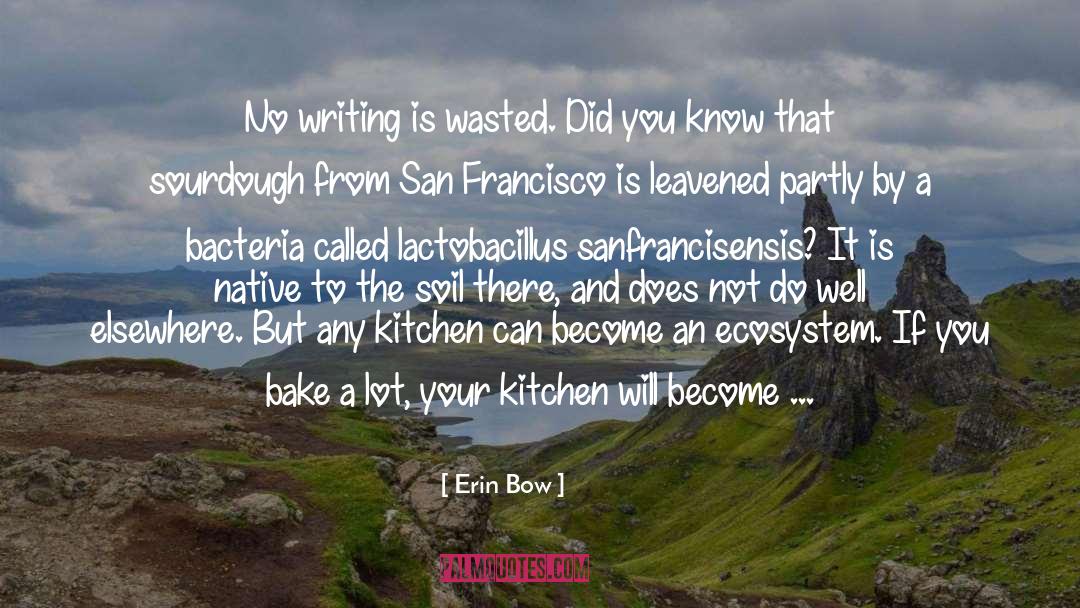Erin Bowman quotes by Erin Bow