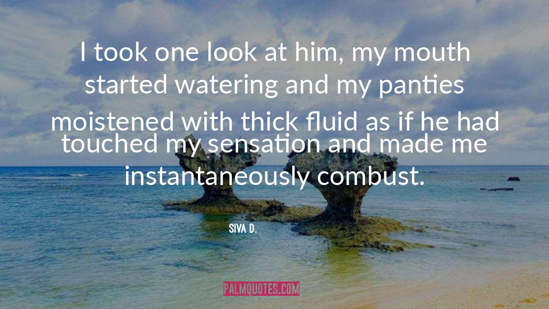 Erotic Fiction quotes by Siva D.