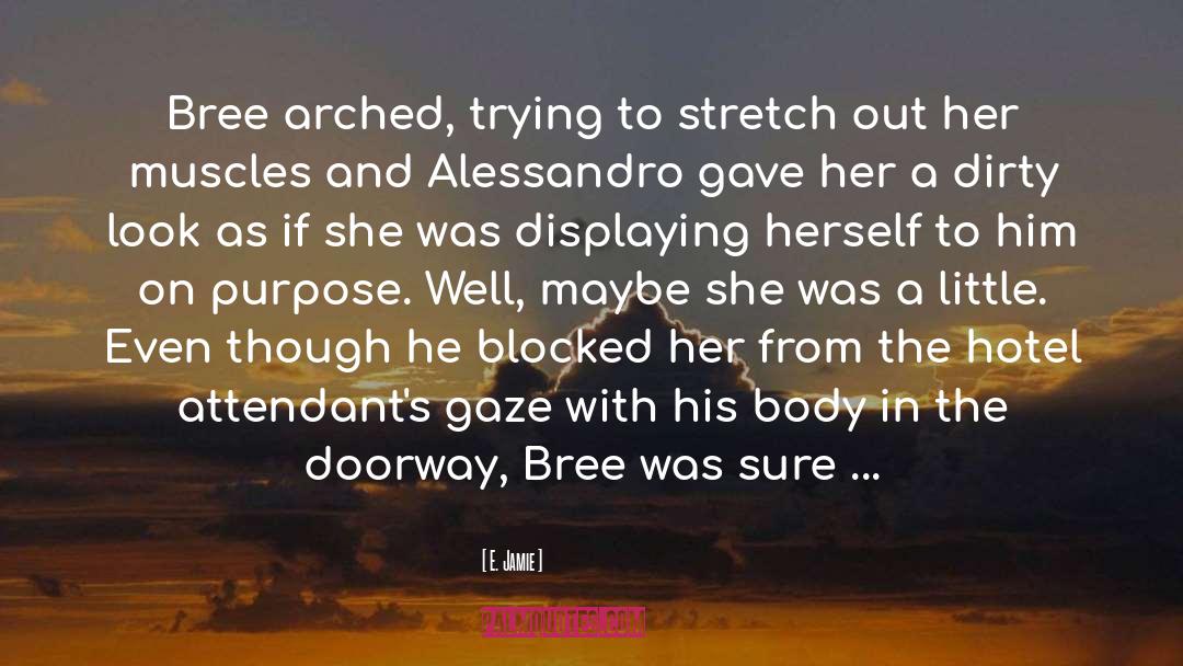 Erotic Thriller quotes by E. Jamie