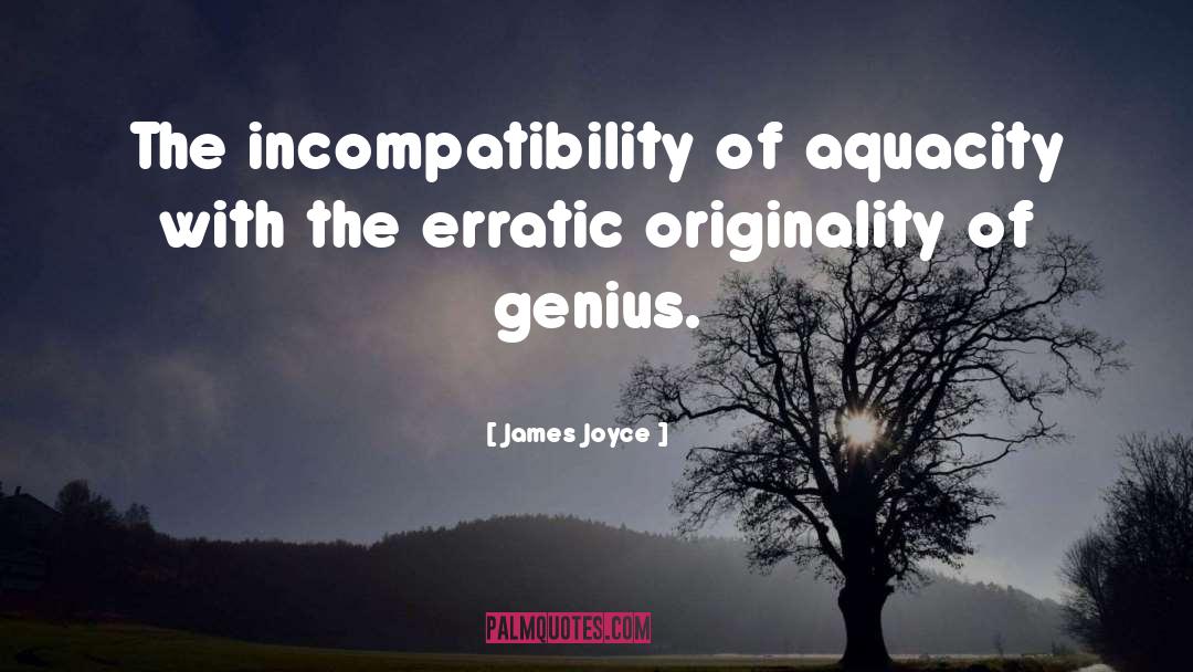 Erratic quotes by James Joyce