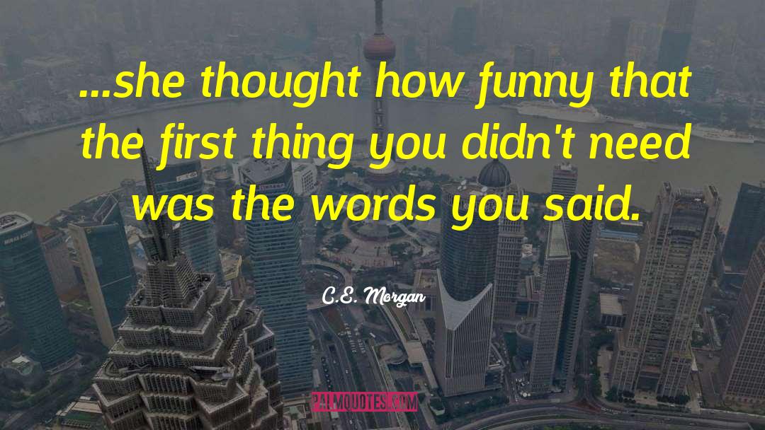 Erudite Funny quotes by C.E. Morgan