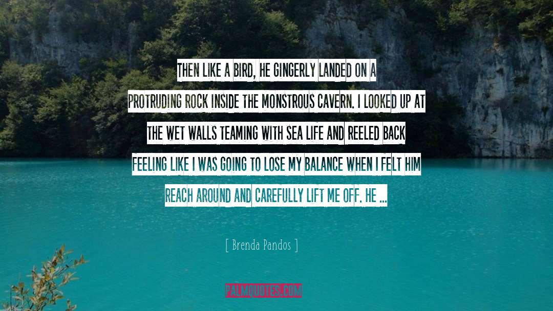 Erupting quotes by Brenda Pandos