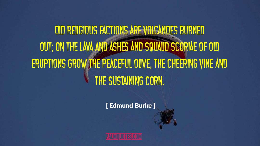 Eruption quotes by Edmund Burke