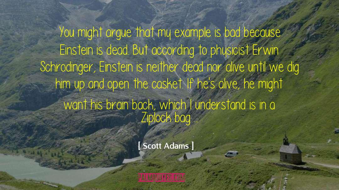 Erwin Schrodinger quotes by Scott Adams